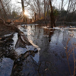 Wyman Meadows - North Fork Conservation Area - Town of Bridgewater and Wildlands Trust Preview 3