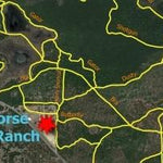 Black Horse Resort Ranch - Ocala National Forest Preview 2