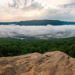 Prentice Cooper State Forest Hiking Trails & Campsites Preview 1