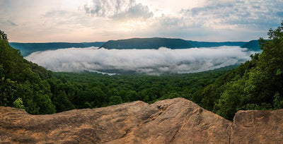 Prentice Cooper State Forest Hiking Trails & Campsites Preview 1