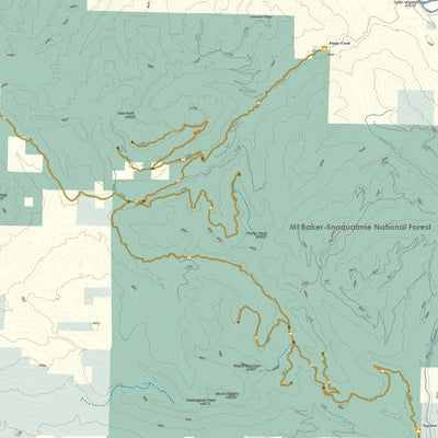 Snowmobile Trails: North West Washington Cascades/Mount Baker-Snoqualmie NF, Whatcom & Skagit County Preview 3