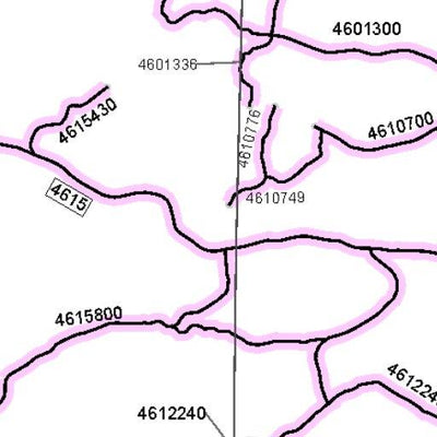 Deschutes NF - Bend Fort Rock RD - Roadside Firewood Map Bundle Preview 2
