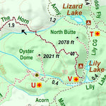 Blanchard State Forest Preview 2