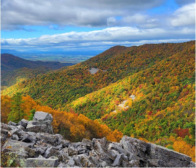 Shenandoah National Park South District (PATC Map 11 Edition 18) Preview 1