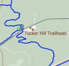 Withlacoochee State Forest - Croom Tract Horse Trails Preview 2
