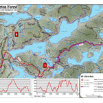 Haliburton Ultra Race - 12km & 16km Preview 1