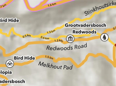 Grootvadersbosch Nature Reserve Preview 2