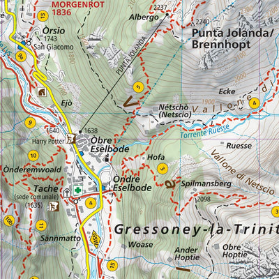 201 Monte Rosa hiking map 1:25000 Preview 2