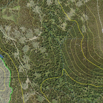 Tallaganda State Forest Bundle Preview 1