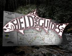Southern Nantahala Wilderness - Fly Field Guides Preview 1