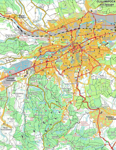 MUNŢII GILĂU - MUNTELE MARE & CLUJ NAPOCA (Öreg-havas, Gyalui-havasok) Preview 2