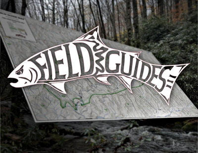 Fires Creek Recreation Area - Fly Field Guides Preview 1