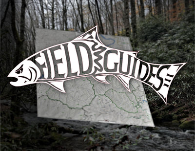 Slickrock - Citico Creek Wilderness - Fly Field Guides Preview 1