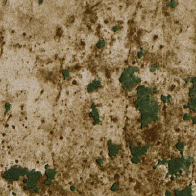 (25080a1) Page 030 Homestead Preview 3