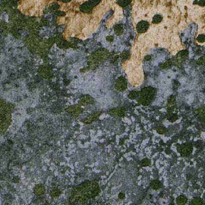 (25080a1) Page 042 Homestead Preview 3