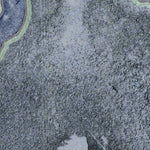 (25081e1) Page 041 Everglades City Preview 3