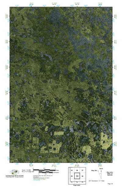 (26081a1) Page 039 Naples Preview 1