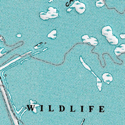 (29089a1) Page 064 Mississippi River Delta Preview 3