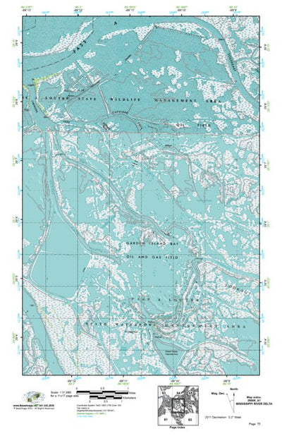 (29089a1) Page 075 Mississippi River Delta Preview 1