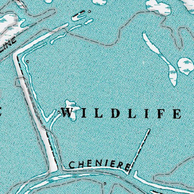 (29089a1) Page 075 Mississippi River Delta Preview 3