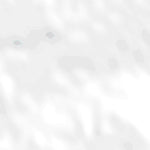 (29100a1) Page 058 Del Rio Preview 3