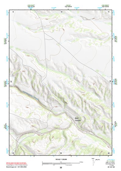 29102NW Page 22 Dove Mountain Topo Preview 1