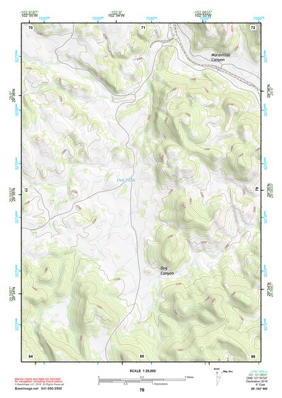 29102NW Page 78 Dove Mountain Topo Preview 1