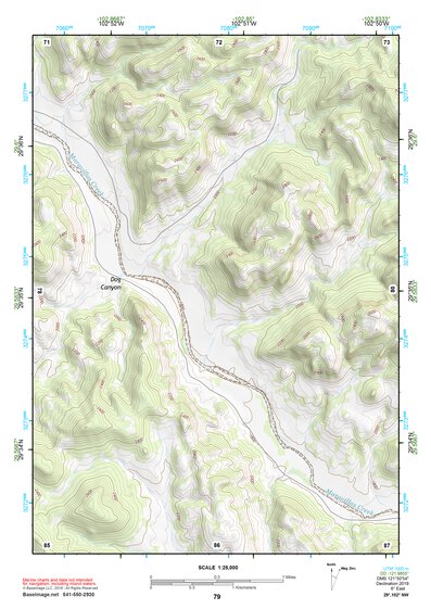 29102NW Page 79 Dove Mountain Topo Preview 1