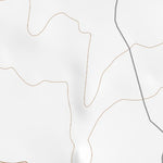 29103NE Page 5 Santiago Mountains Topo Preview 2