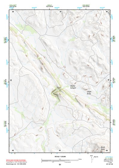 29103NE Page 51 Santiago Mountains Topo Preview 1
