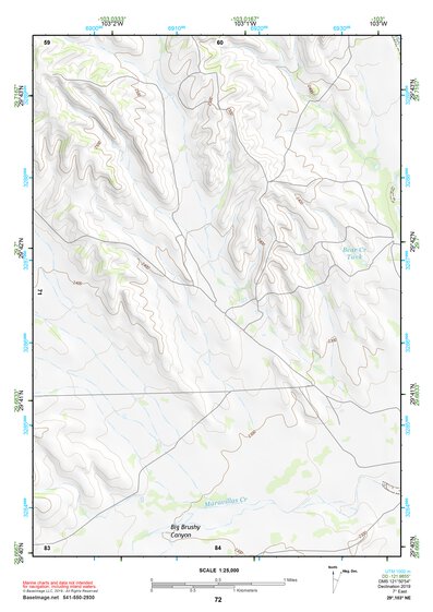 29103NE Page 72 Santiago Mountains Topo Preview 1