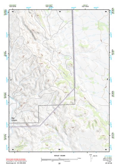 29103NE Page 77 Santiago Mountains Topo Preview 1