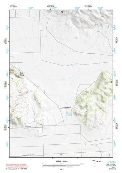 29103NE Page 85 Santiago Mountains Topo Preview 1