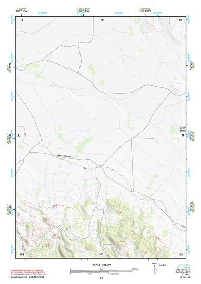 29103NE Page 91 Santiago Mountains Topo Preview 1
