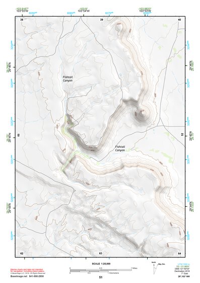 29103NW Page 51 Santiago Mountains Topo Preview 1