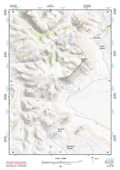 29103NW Page 75 Santiago Mountains Topo Preview 1
