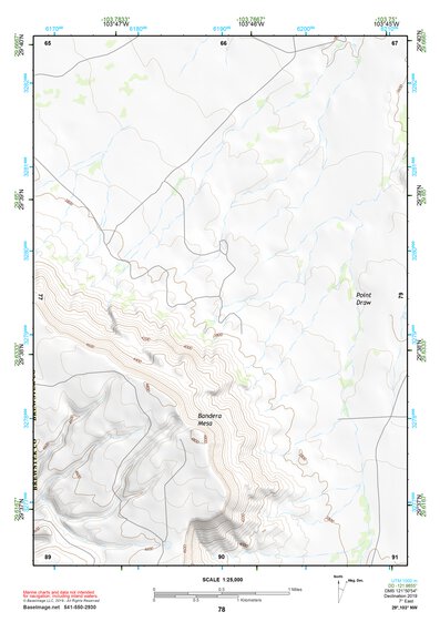 29103NW Page 78 Santiago Mountains Topo Preview 1