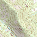 29103SE Page 8 Chisos Mountains Topo Preview 3