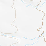 29103SE Page 16 Chisos Mountains Topo Preview 2