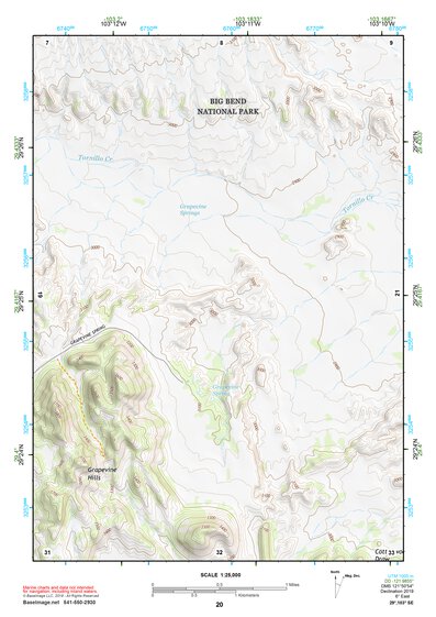 29103SE Page 20 Chisos Mountains Topo Preview 1