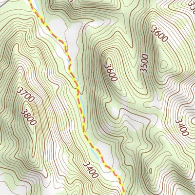 29103SE Page 20 Chisos Mountains Topo Preview 3