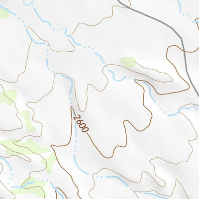 29103SE Page 58 Chisos Mountains Topo Preview 2