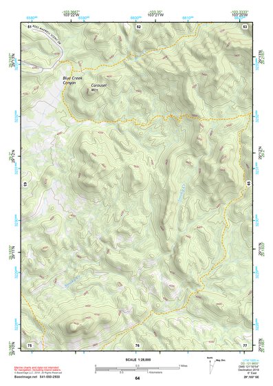 29103SE Page 64 Chisos Mountains Topo Preview 1