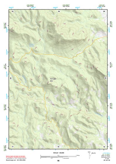 29103SE Page 66 Chisos Mountains Topo Preview 1