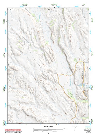 29103SE Page 72 Chisos Mountains Topo Preview 1