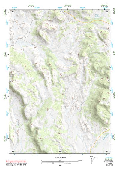 29103SE Page 74 Chisos Mountains Topo Preview 1