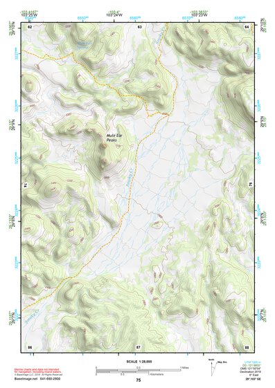 29103SE Page 75 Chisos Mountains Topo Preview 1