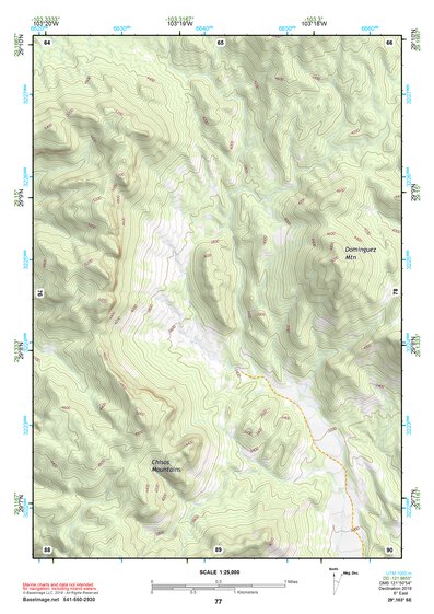 29103SE Page 77 Chisos Mountains Topo Preview 1
