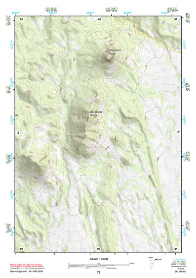 29103SE Page 78 Chisos Mountains Topo Preview 1