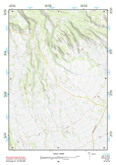 29103SE Page 79 Chisos Mountains Topo Preview 1